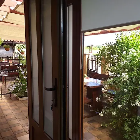 Monte Studio App 3 Umag Exterior photo