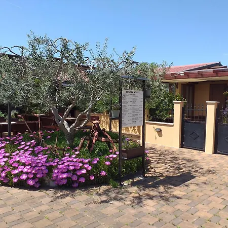 Monte Studio App 3 Umag Exterior photo